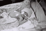 IMG03.JPG