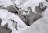 IMG09.JPG