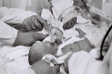 IMG10.JPG