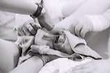 IMG12.JPG