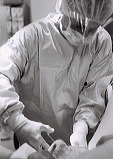 IMG17.JPG