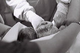 IMG18.JPG