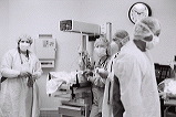 IMG19.JPG