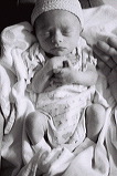 IMG11.JPG