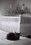 IMG15.JPG